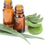 Properties of Aloe vera